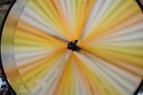 D300_7589 WXGA.jpg