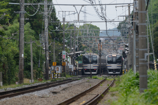 D300_8711 WXGA.jpg