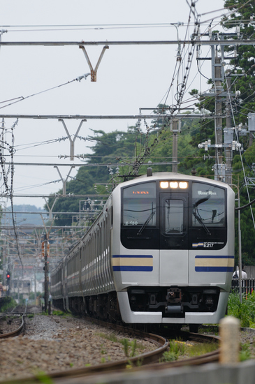 D300_8712 WXGA.jpg