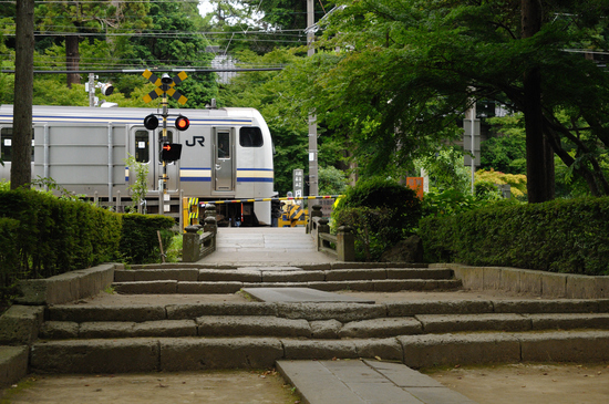 D300_8739 WXGA.jpg