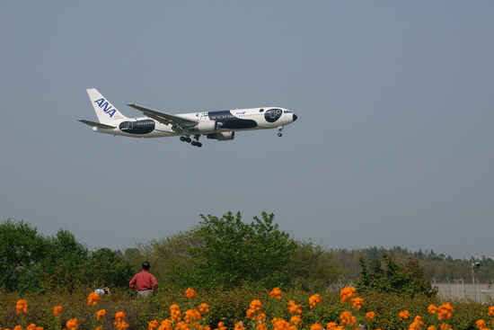D80_20629 WXGA.jpg