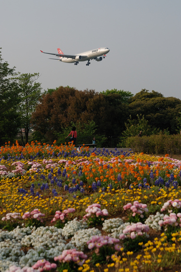 D80_20644 WXGA.jpg