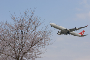 DSC1_0872 XGA.jpg