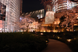 DSC1_1337 XGA.jpg