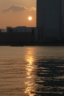 DSC1_5684 XGA.jpg