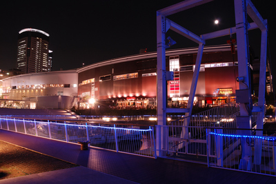 DSC1_5790 XGA.jpg