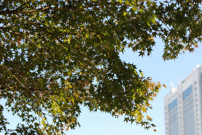 DSC1_9415 WXGA.jpg