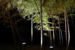 DSC_0278 XGA.jpg