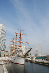 DSC_1073 10M.jpg