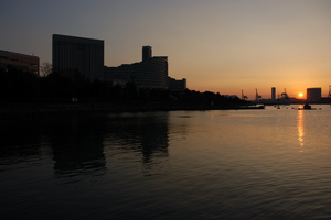 DSC_5110 XGA.jpg
