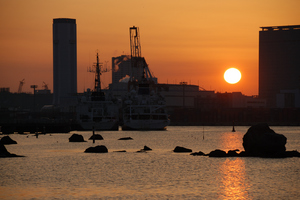 DSC_5112 XGA.jpg