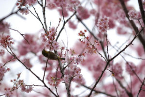DSC_9163 WXGA.jpg