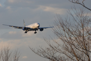 DSC_9269 XGA.jpg