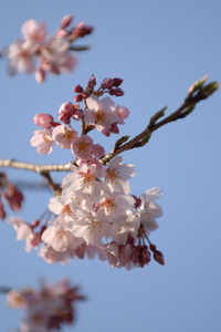DSC_9984 WXGA.jpg